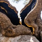 The Purpose of Suffering: 4 Ways God Uses Pain in a Believer’s Life